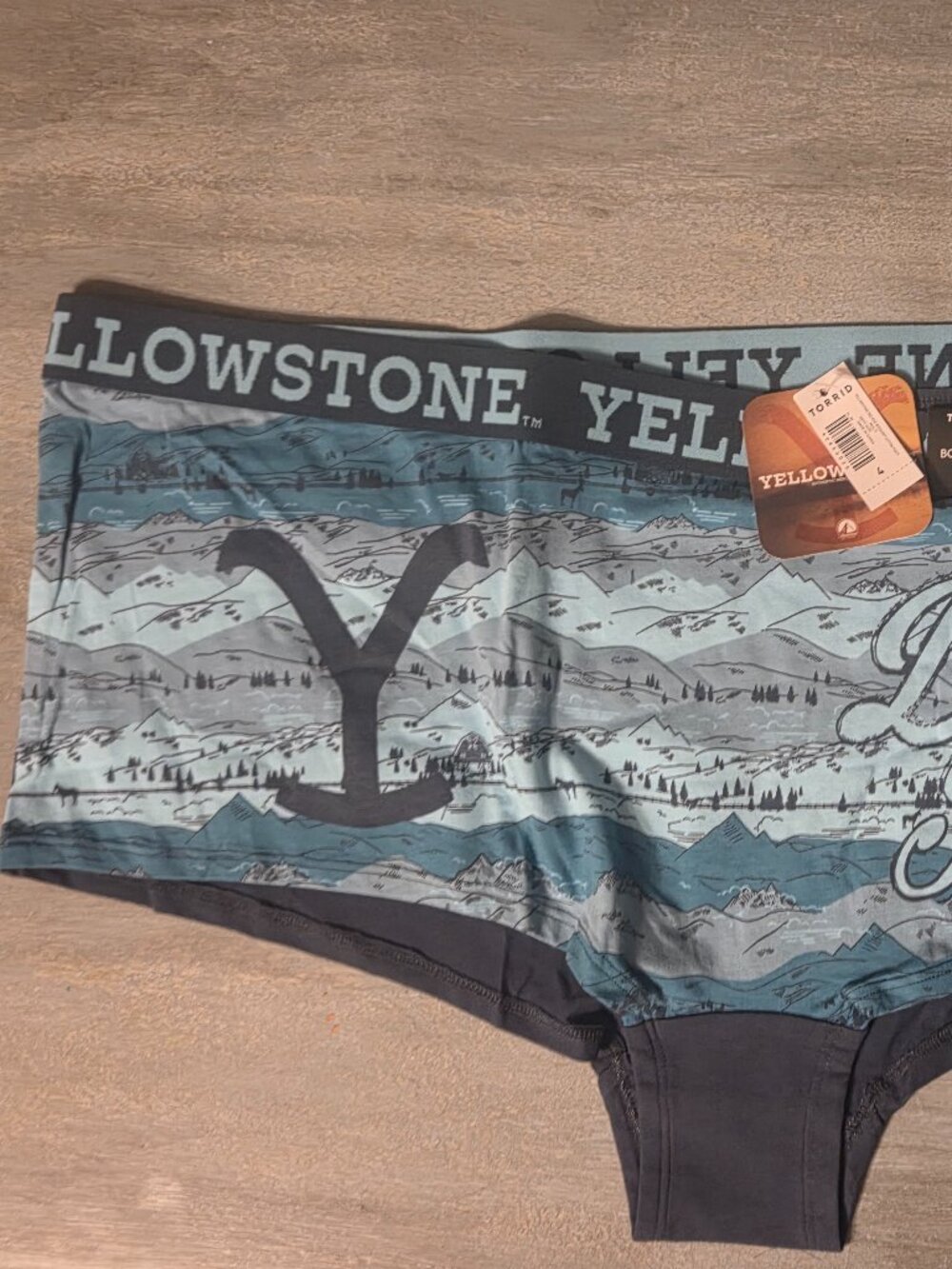 Torrid Blue Yellowstone Dutton Ranch Boyshort Panties Plus Size 4 NWT